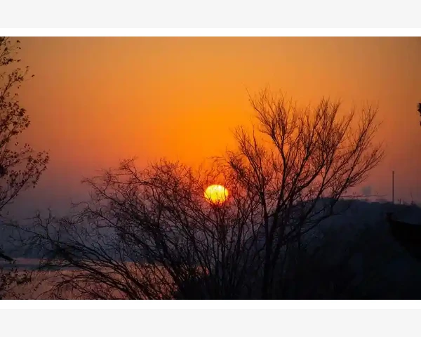 脾胃虚寒与肾阳不足的关系及调养建议