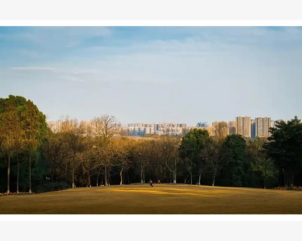 中医经络补养：气血不足引发阳虚，如何调理身体？