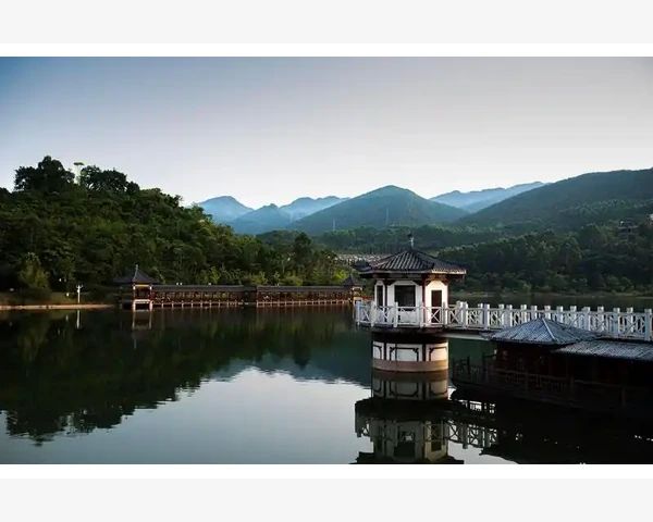 滋养脾胃，健康童年：孩子最佳饮品推荐